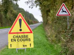 Image par défaut