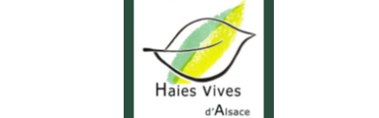 Image par défaut