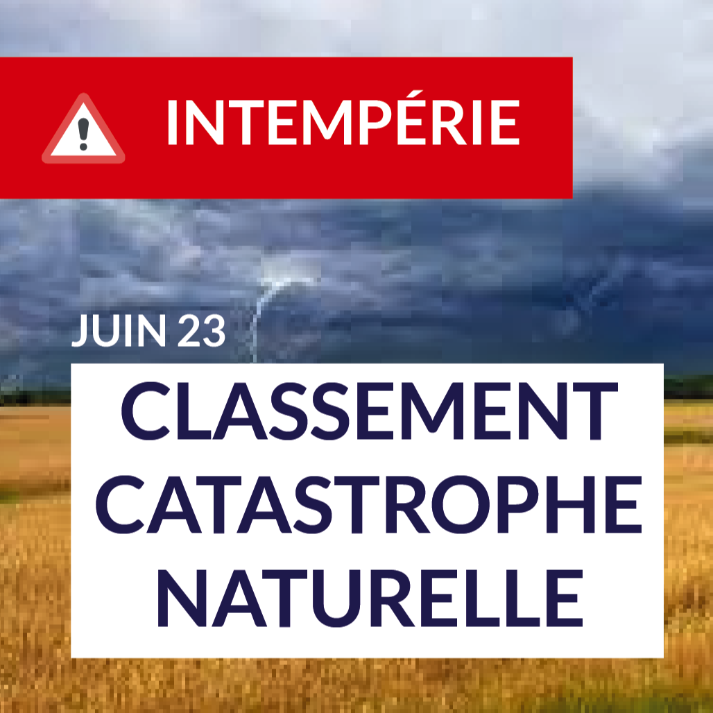 Image par défaut