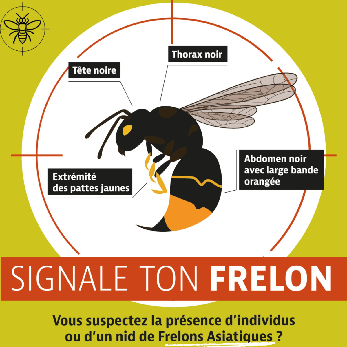 Image par défaut