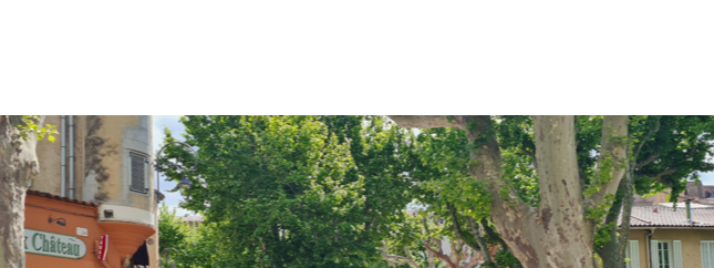 À vos agendas ! La Foire aux Plants et Gourmandes revient au Revest !