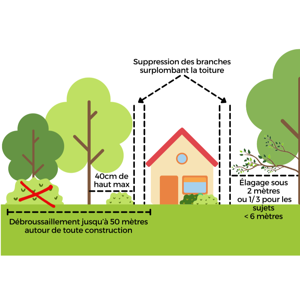 Image par défaut