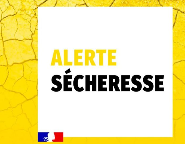 Image par défaut