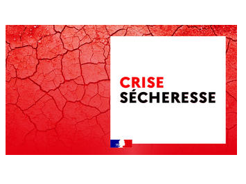 Image par défaut