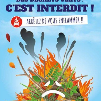 Image par défaut