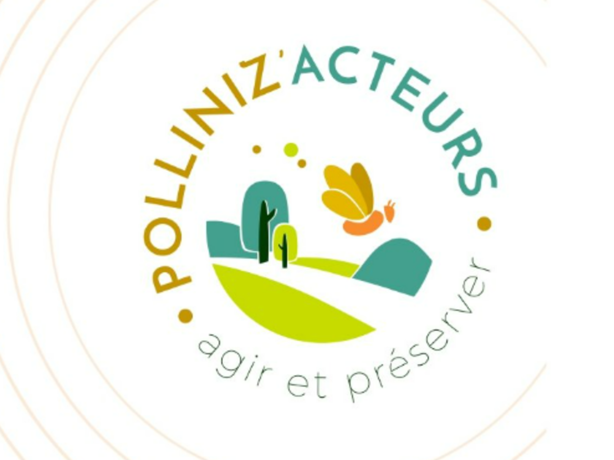 Image par défaut