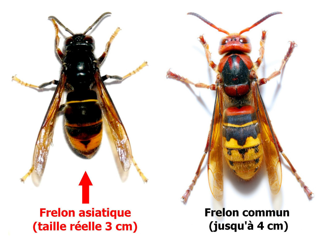 Image par défaut