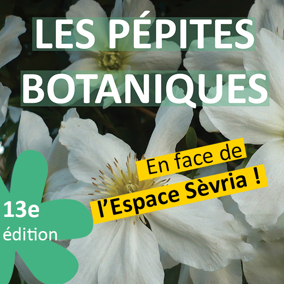 Image par défaut