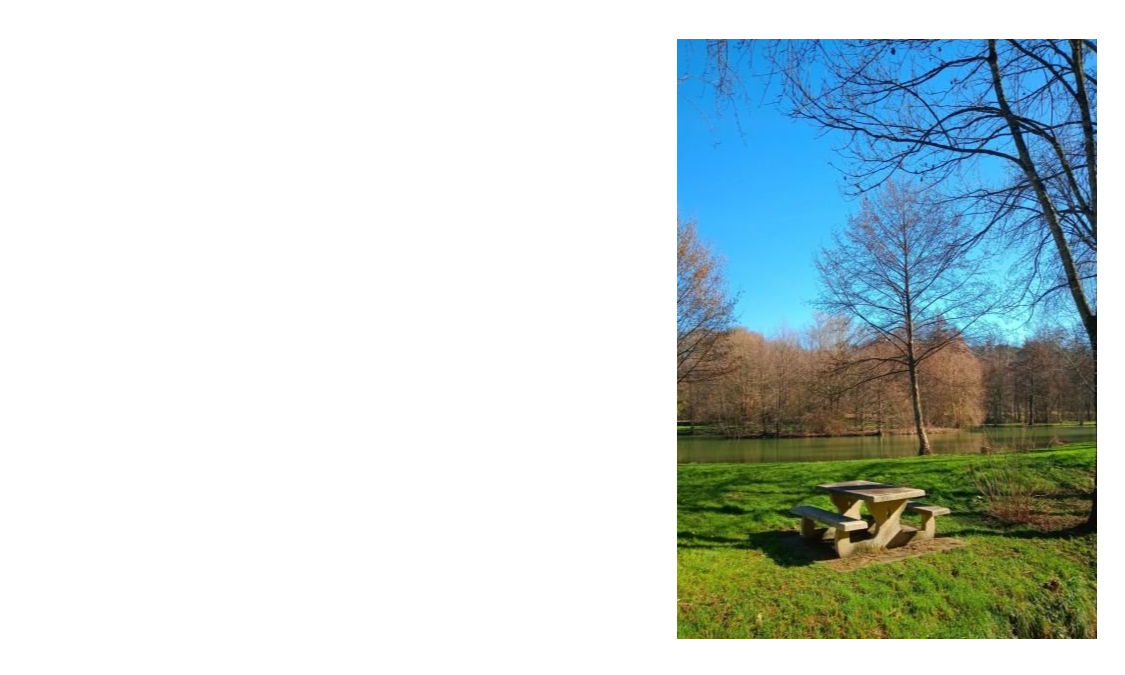 Ouverture saison pêche - étang communal