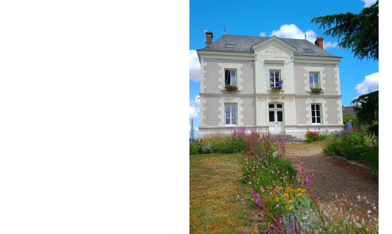 Séance du Conseil Municipal