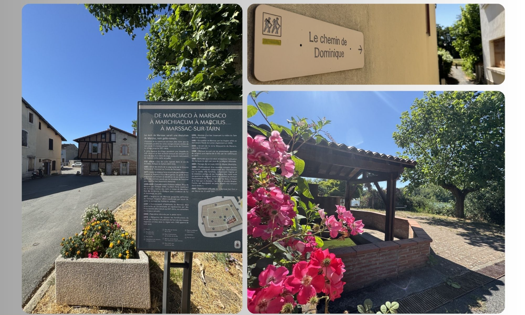 Le chemin de Dominique