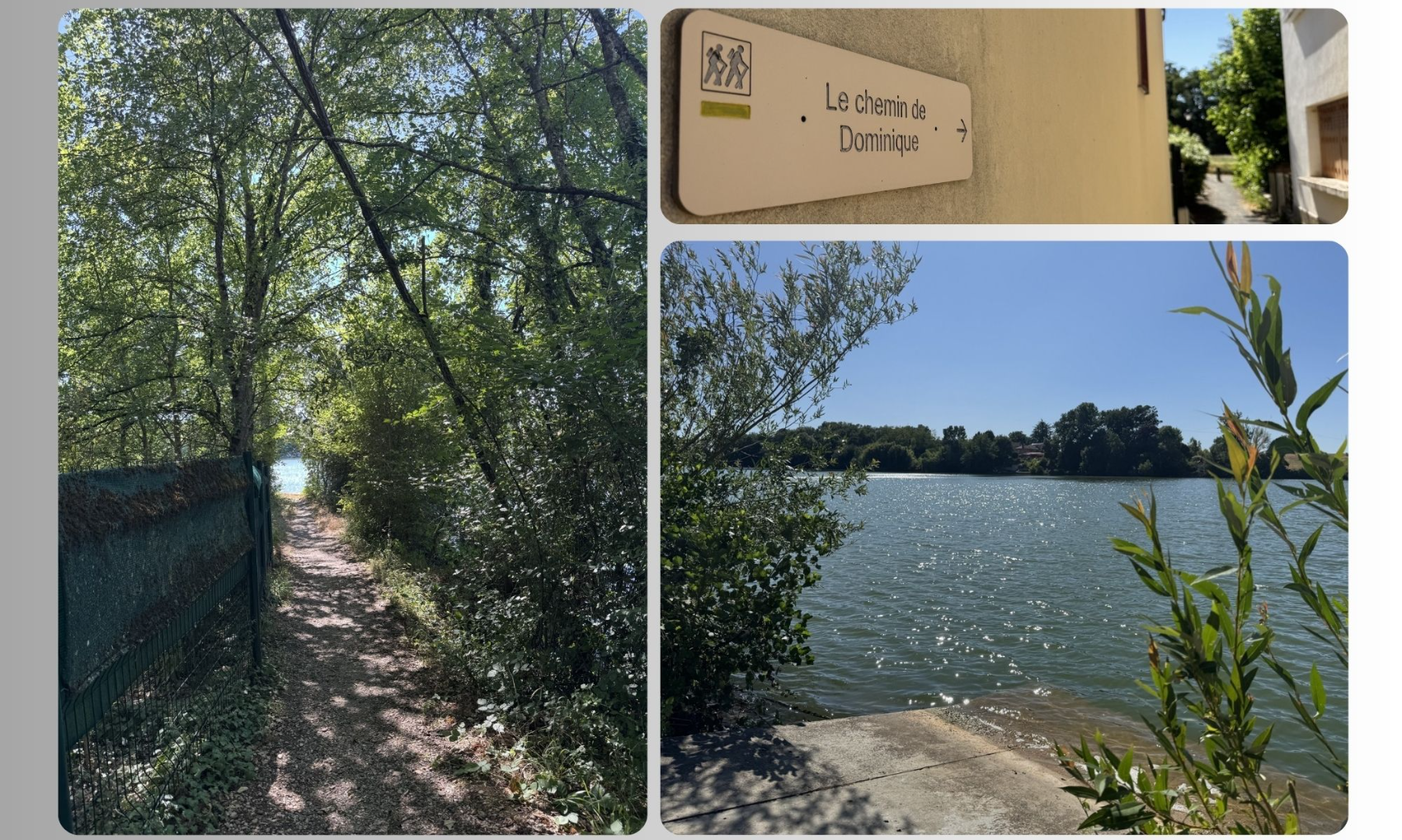Le chemin de Dominique