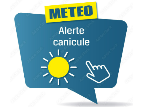 Image par défaut