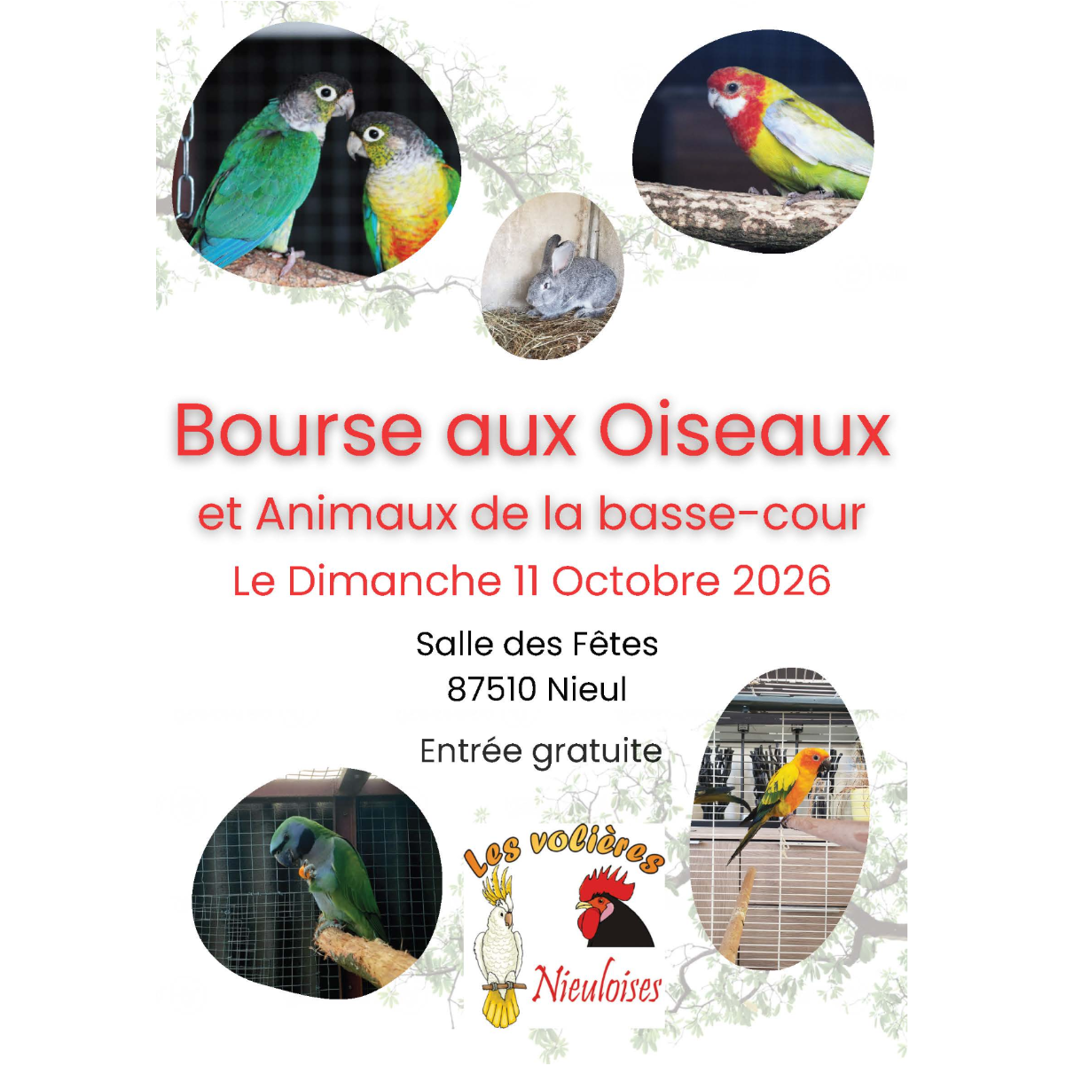 Bourse aux oiseaux