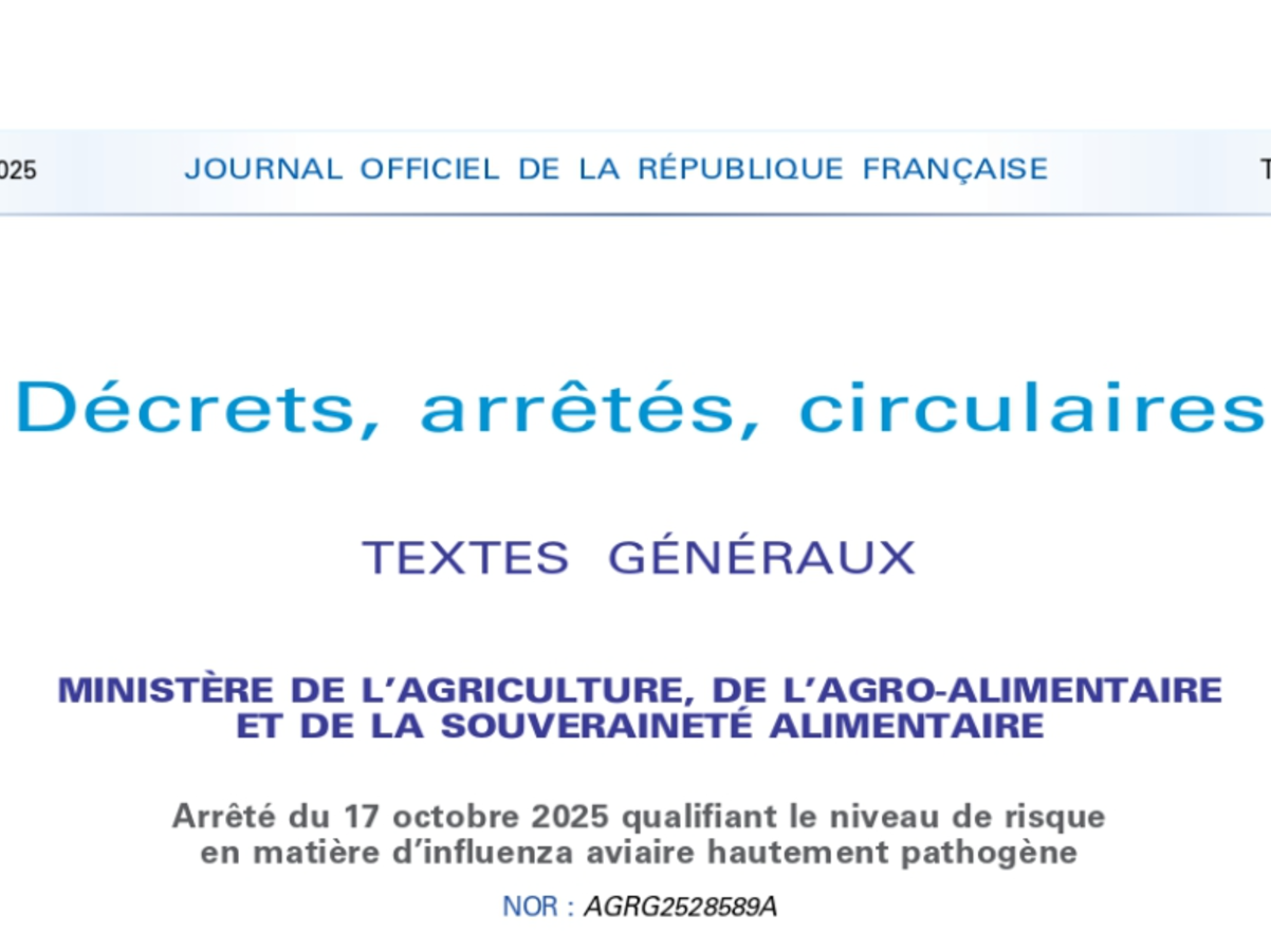 Image par défaut