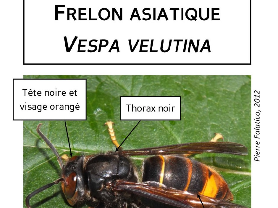 Image par défaut