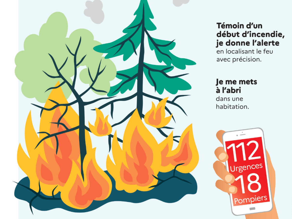 Image par défaut