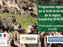 Image par défaut