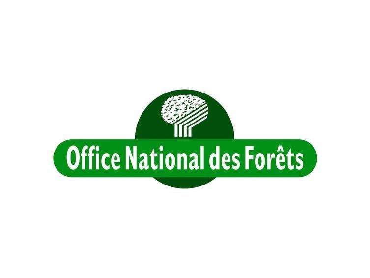 Image par défaut
