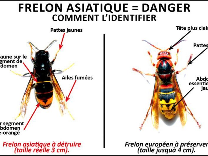 Image par défaut
