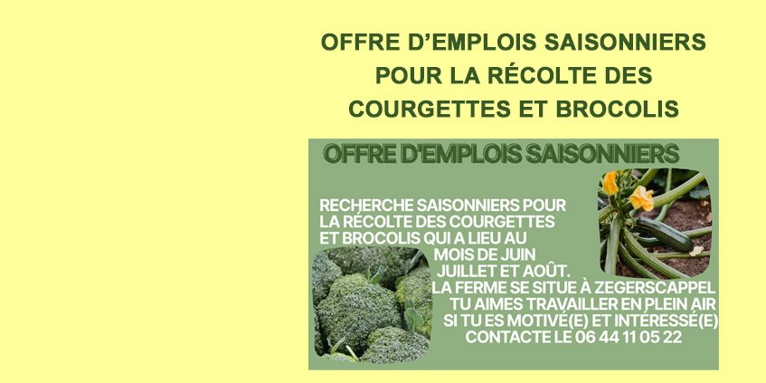 Emplois