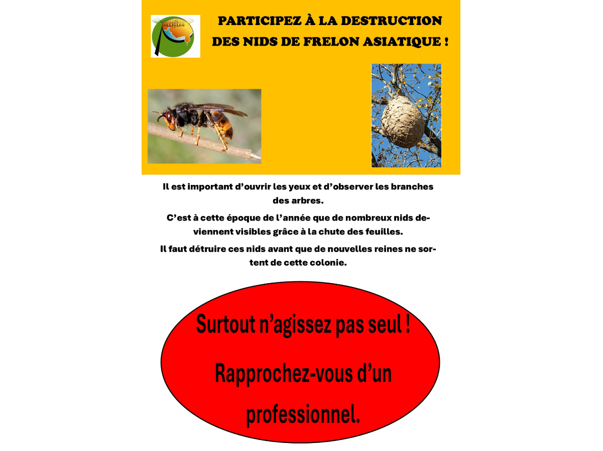Image par défaut