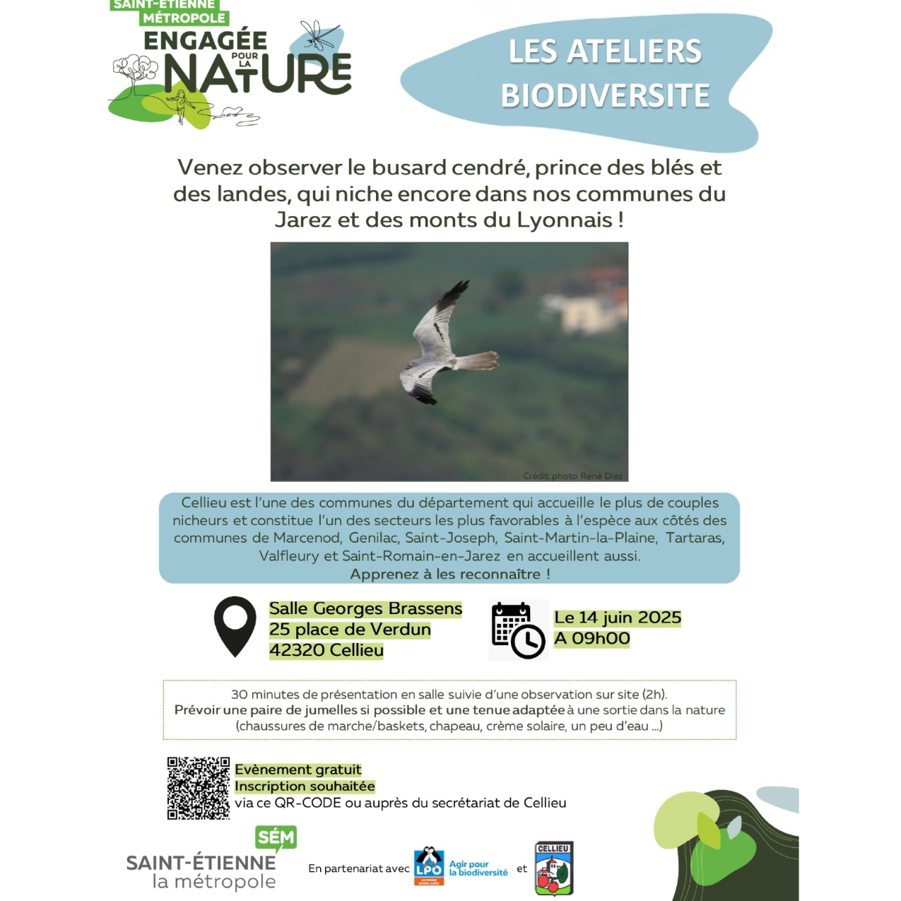 Image par défaut
