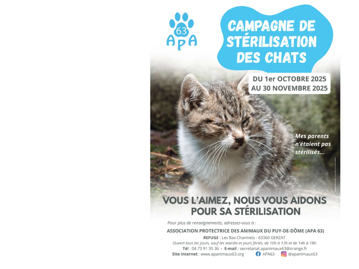 Image par défaut