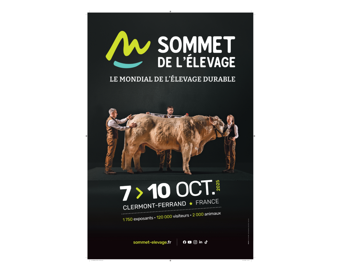 Image par défaut