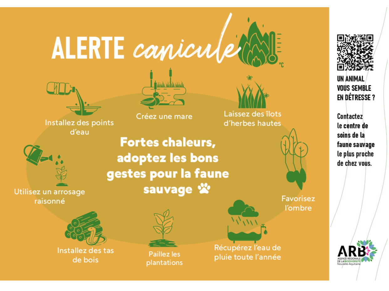 Image par défaut