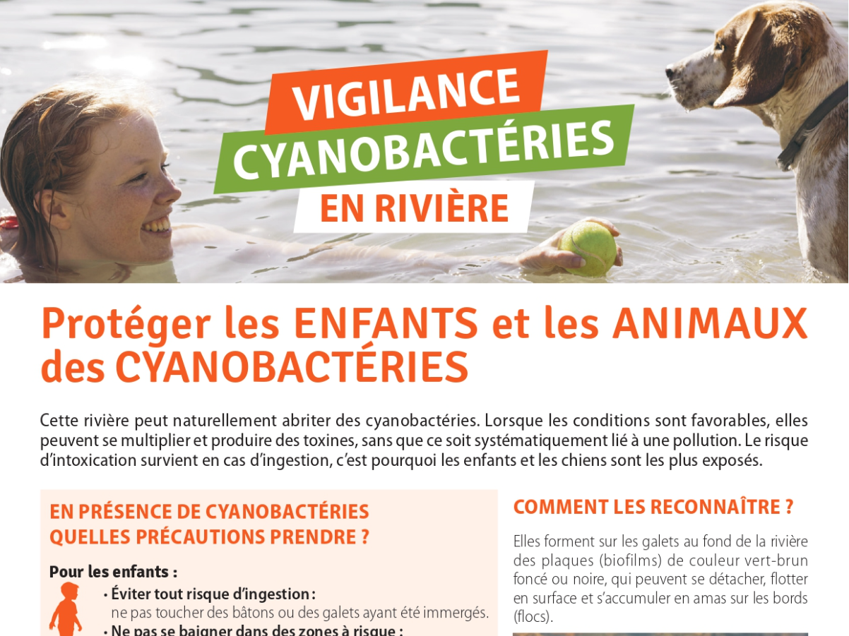 Image par défaut