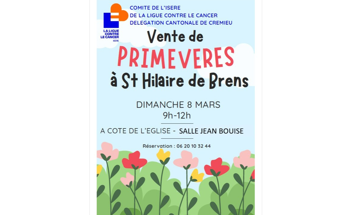 Vente de primevères de la ligue contre le cancer
