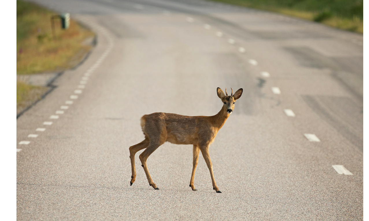 Appel à la prudence des automobilistes