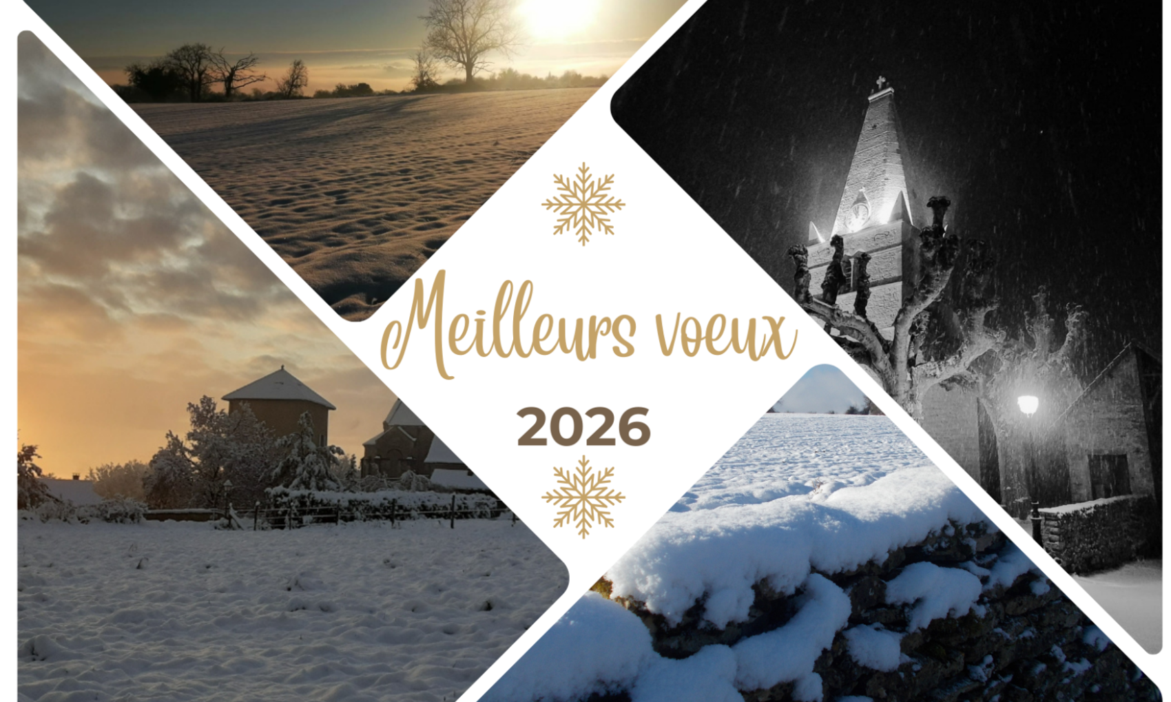 Cérémonie des voeux