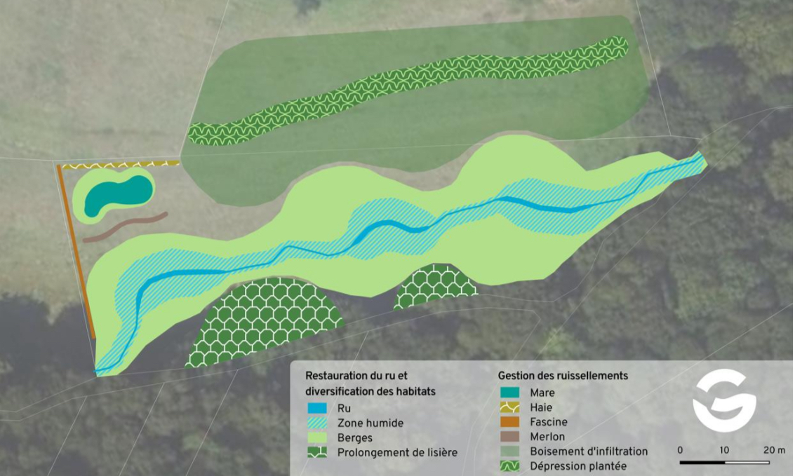 Restauration écologique du rû d'Angoulême amont