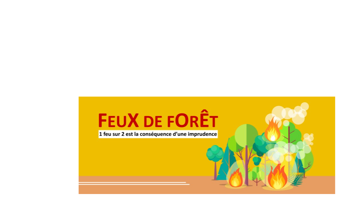 9 feux sur 10 sont d’origine humaine