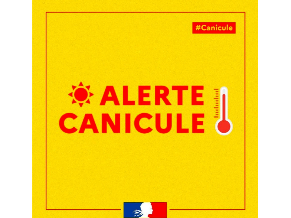 Image par défaut