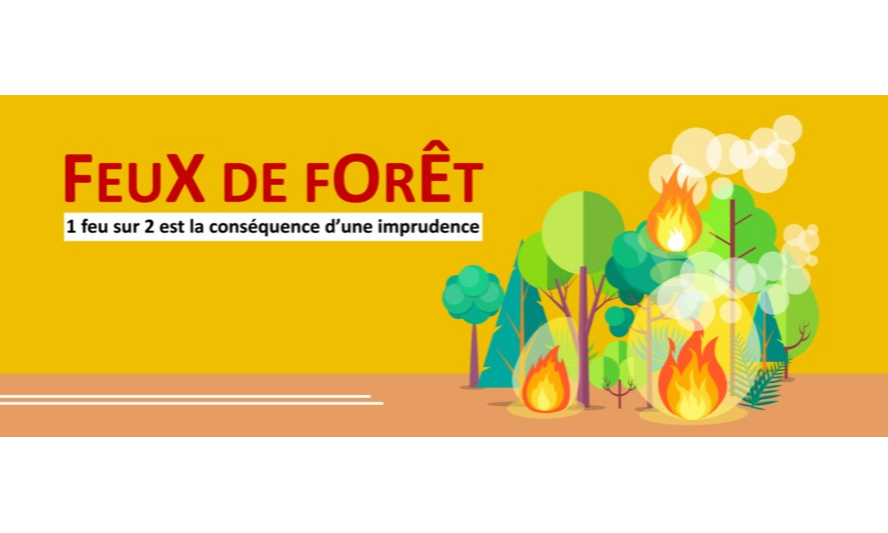 9 feux sur 10 sont d’origine humaine