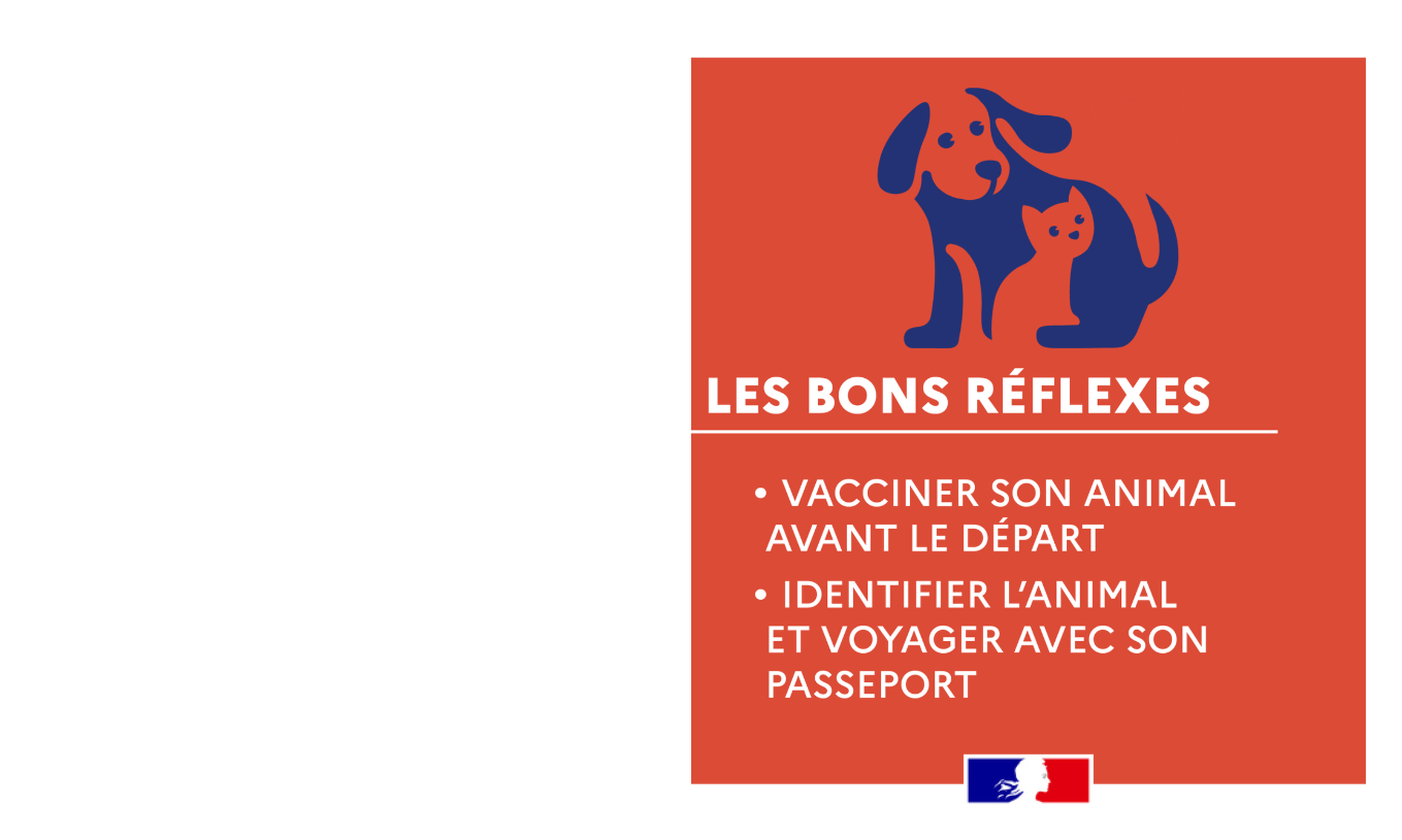 GARE À LA RAGE