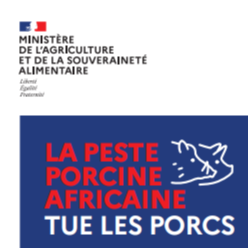 Image par défaut