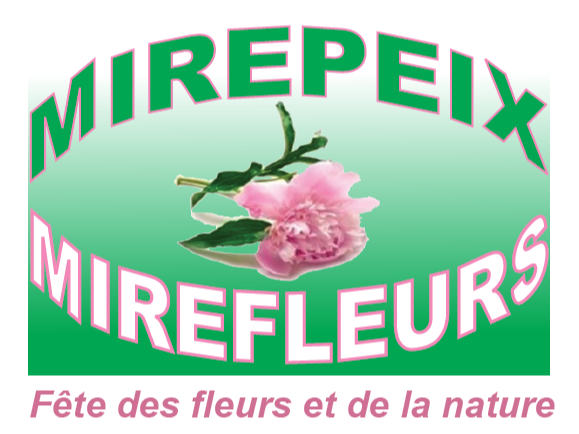 Image par défaut