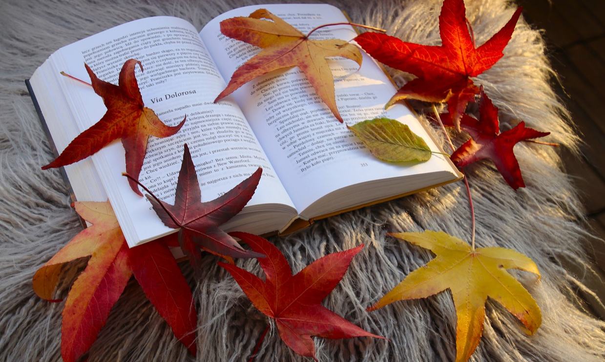 "Lire, c’est vivre en pleine lumière." Michel Saint-Denis.