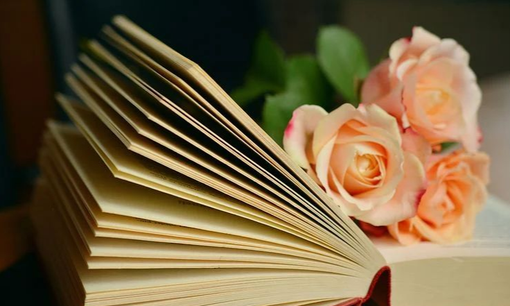 « L’âme se nourrit de ce qu’on lui donne à lire. » – Victor Hugo