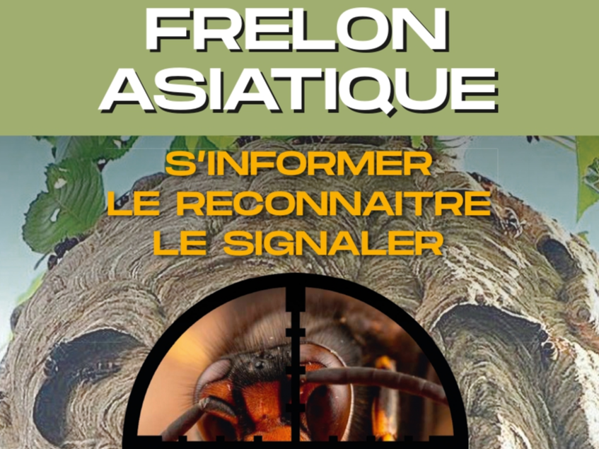 Image par défaut