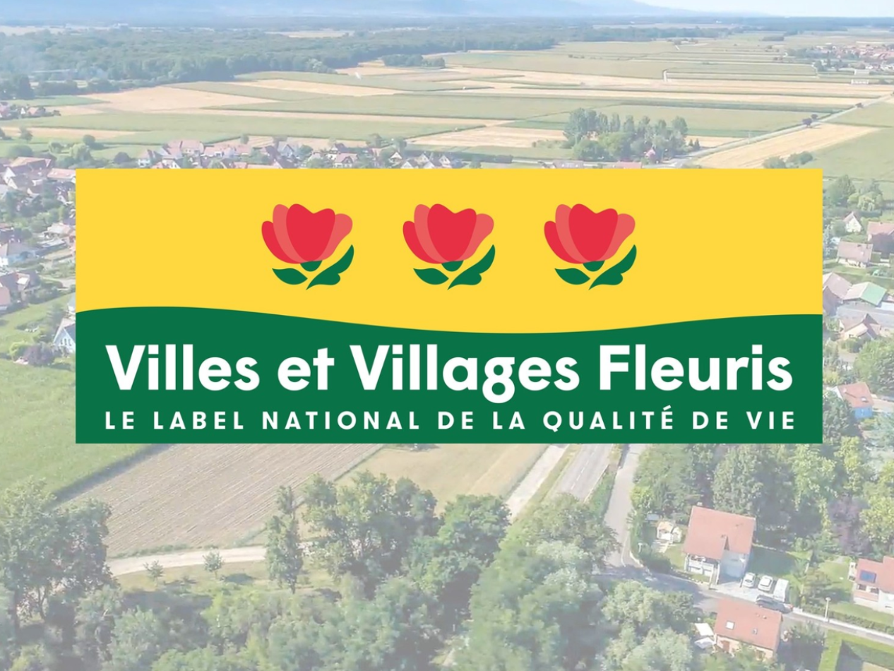 Image par défaut