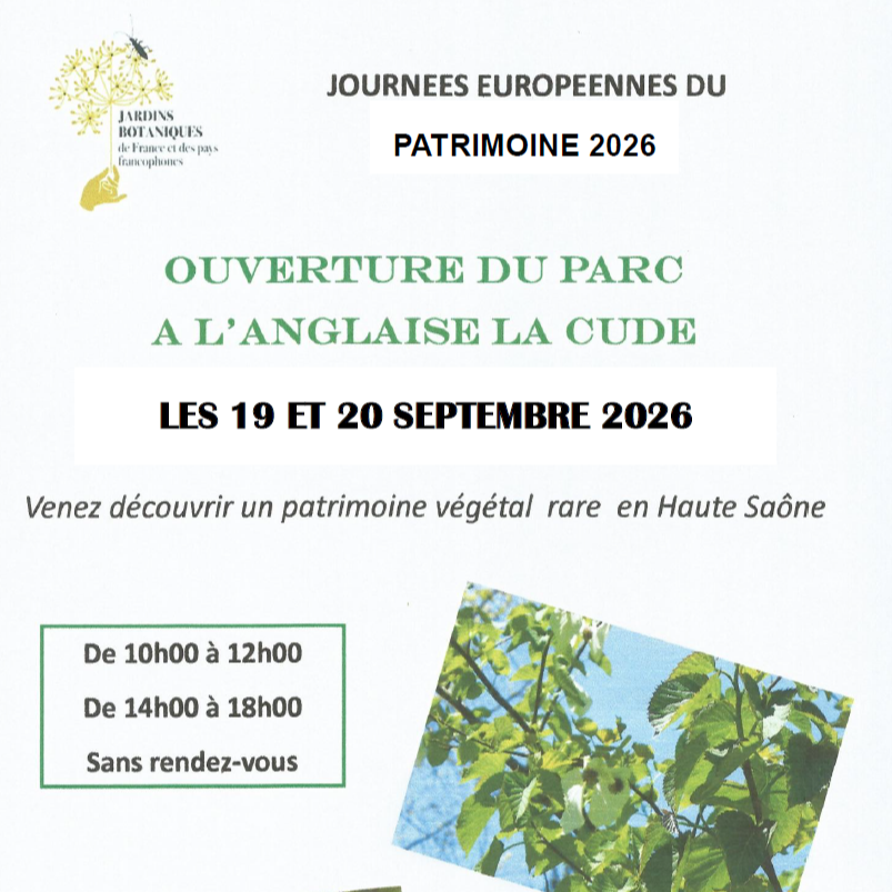 Image par défaut
