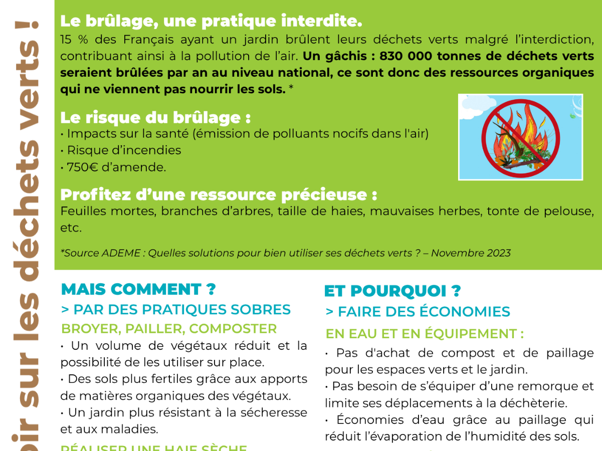 Image par défaut