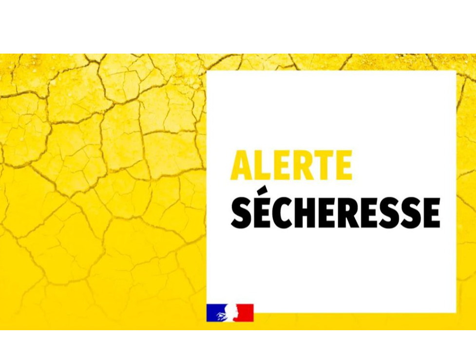 Image par défaut
