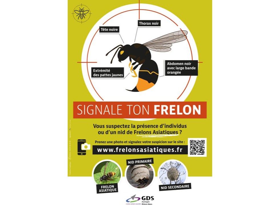 Image par défaut