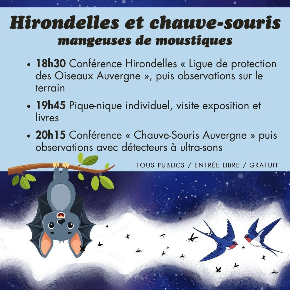 Image par défaut